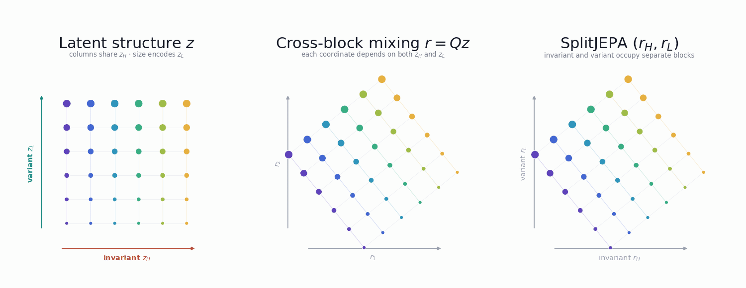 An entangled latent representation is reorganized into invariant and variant blocks.