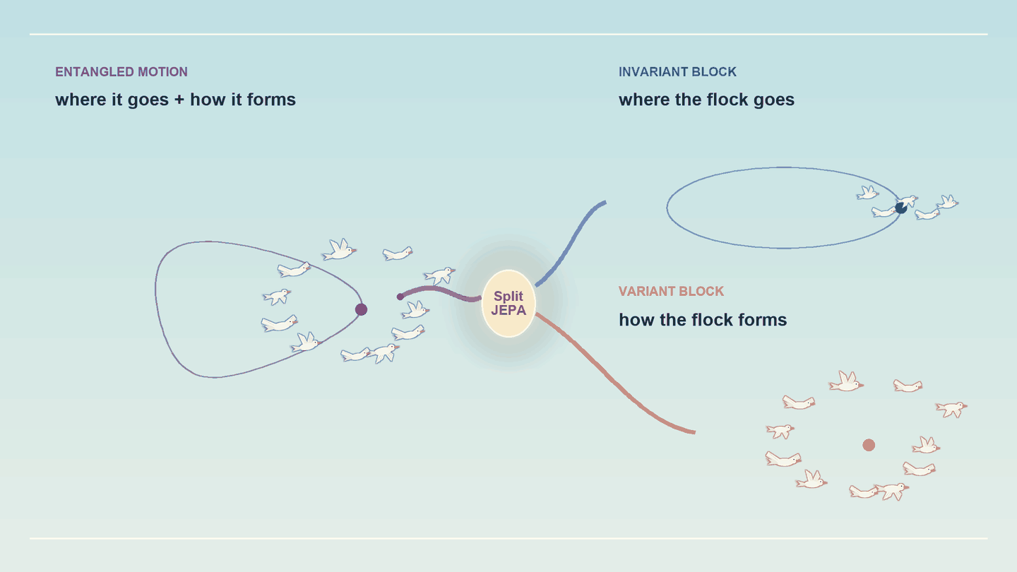 SplitJEPA separates entangled flock motion into invariant position and variant formation.